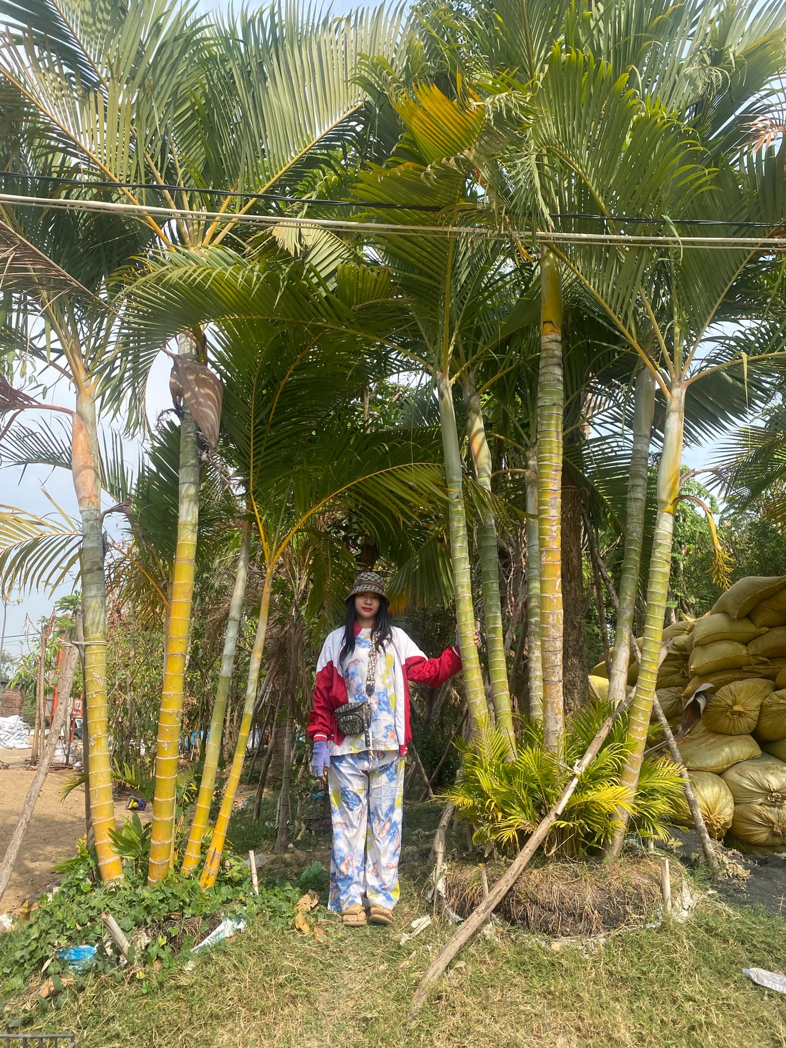 2f98a340-aaf6-4c12-afc0-735d82e93443