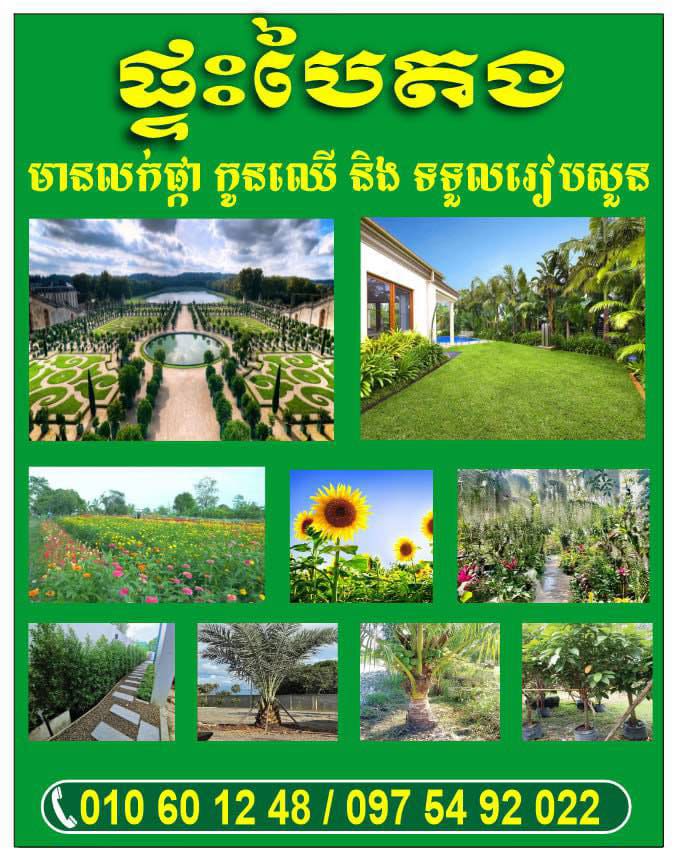 6df710df-5c9e-44d8-8996-6de1450469aa