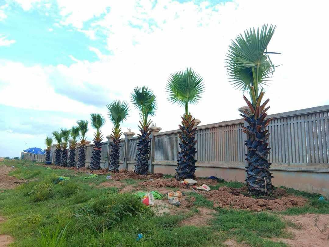 c03cf0d3-cf70-422b-8a04-c478a1505adc